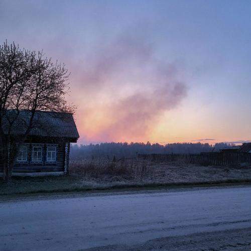 Photo #10287840