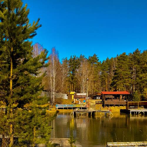 Photo #10287888