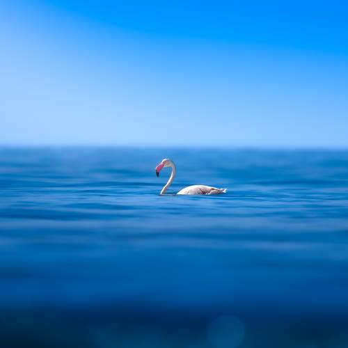 Photo #10287988