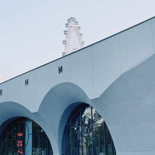 Photo #10288074