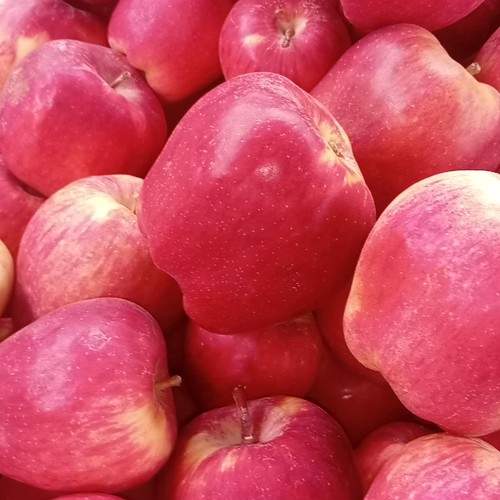 Photo #10288168