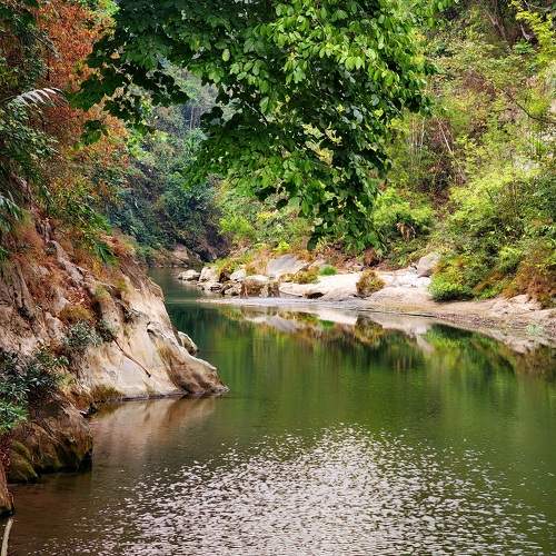 Photo #10288282