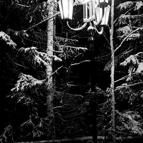 Photo #10288626