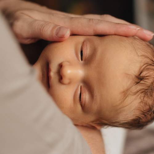 Photo #10288923