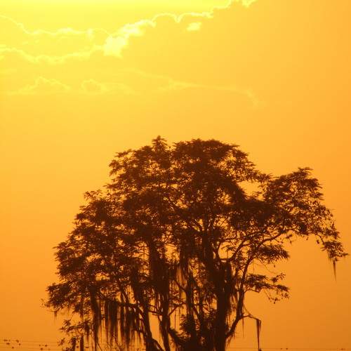 Photo #10289233