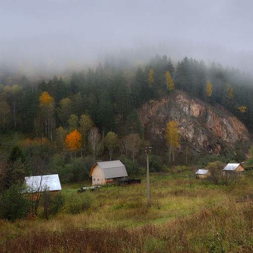 Photo #10289315