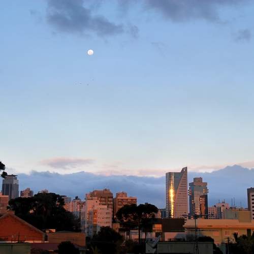 Photo #10290393