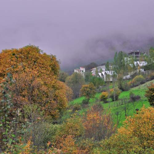 Photo #10290452