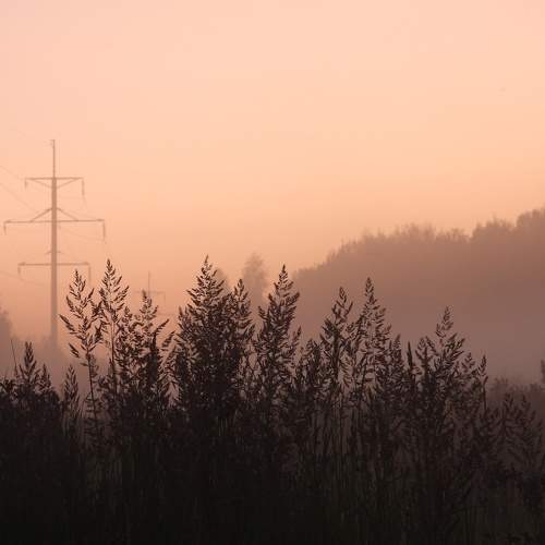 Photo #10290641