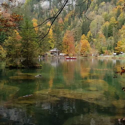 Photo #10290650