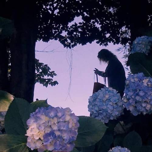 Hidden in the flowers.