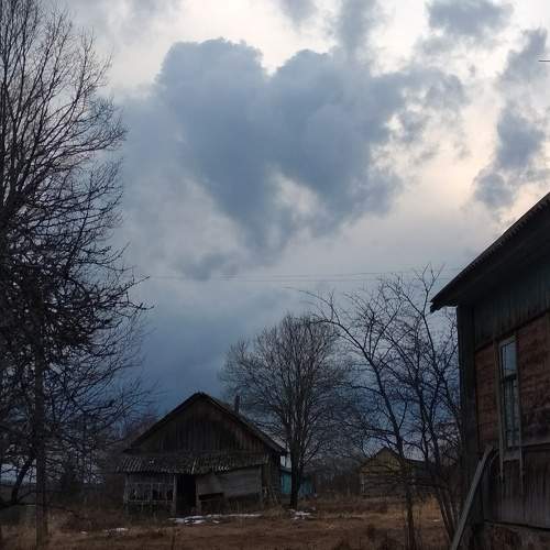 Photo #10291078
