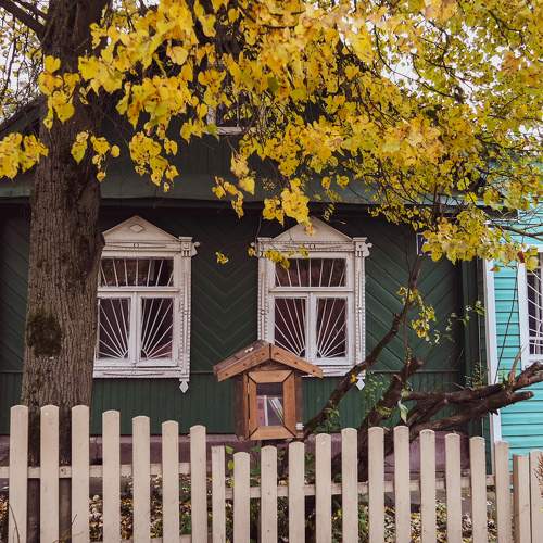 Photo #10291232