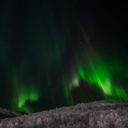Photo #10291363