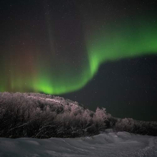 Photo #10291407