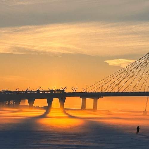 Photo #10291557
