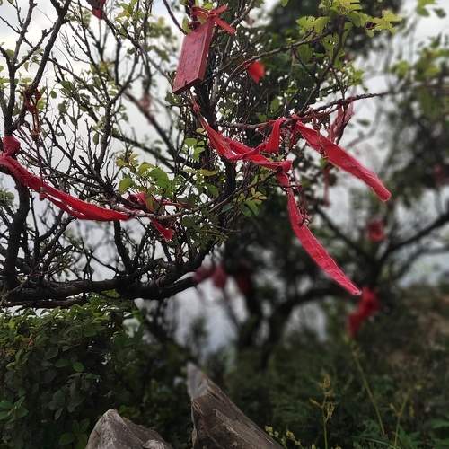 Photo #10291826