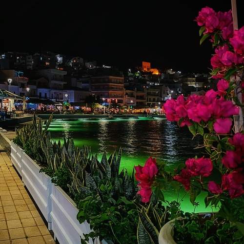 Photo #10291832