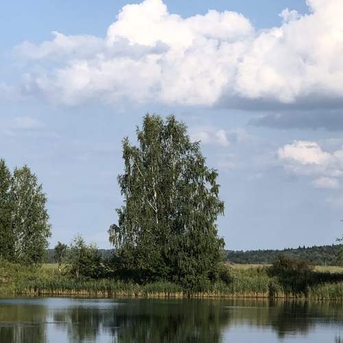 Photo #10292034