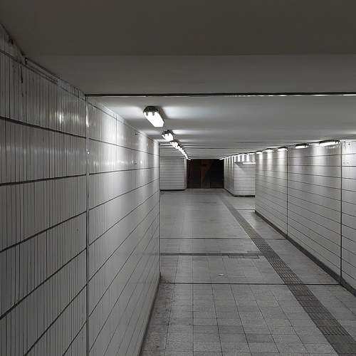 Photo #10292265