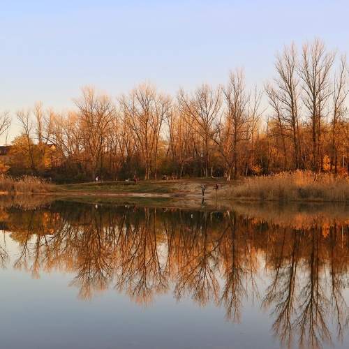 Photo #10292535