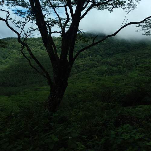 Photo #10292544