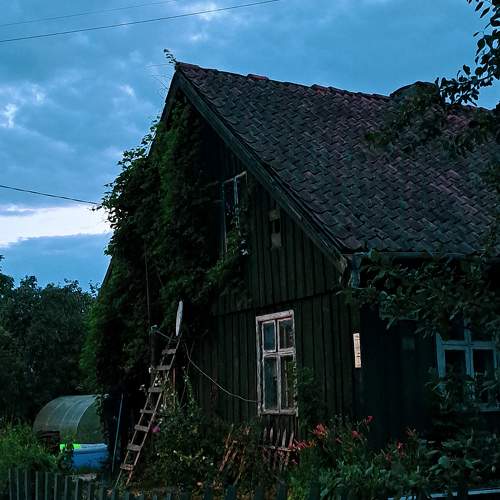Photo #10292588