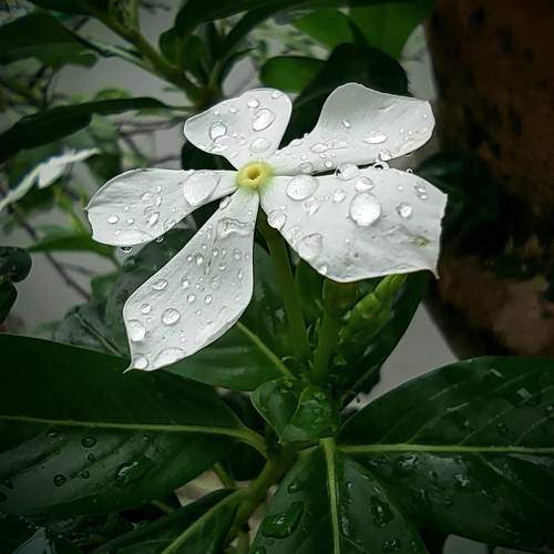 Photo #10292769