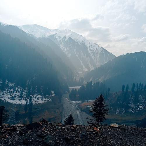 Photo #10292775