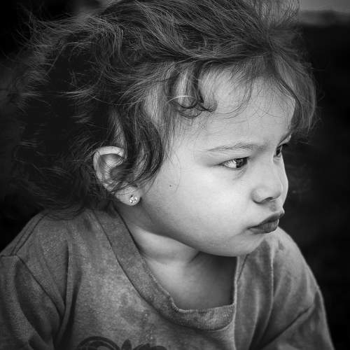 Photo #10292794