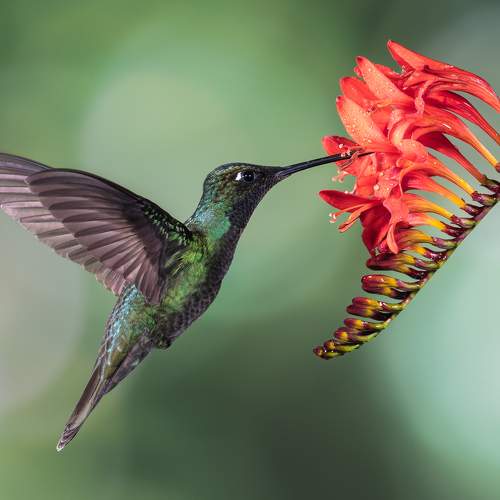 Фотография #10292836