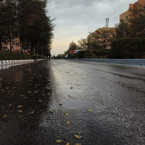 Photo #10292841