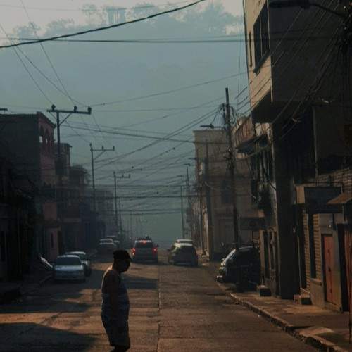 Photo #10292938