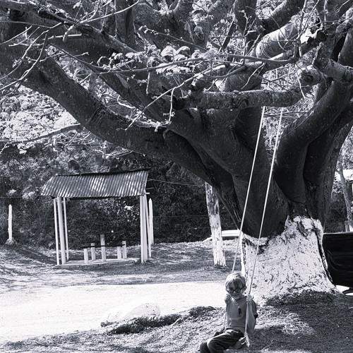 Photo #10292965