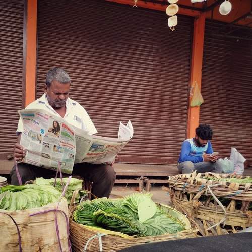 Photo #10292988