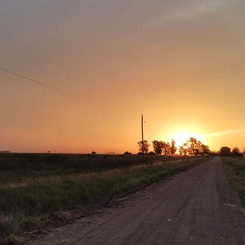 Photo #10293198