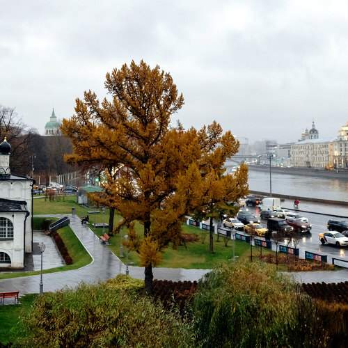 Photo #10293261