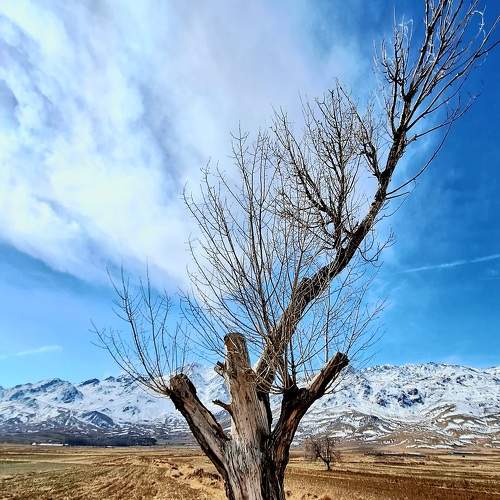 Photo #10293520
