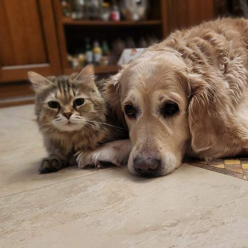 Photo #10293678