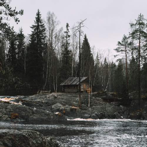 Photo #10293868