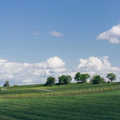 Photo #10293876