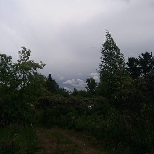 Photo #10294971
