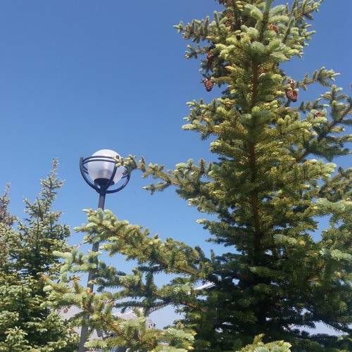 Photo #10295101