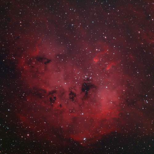 Photo #10295261