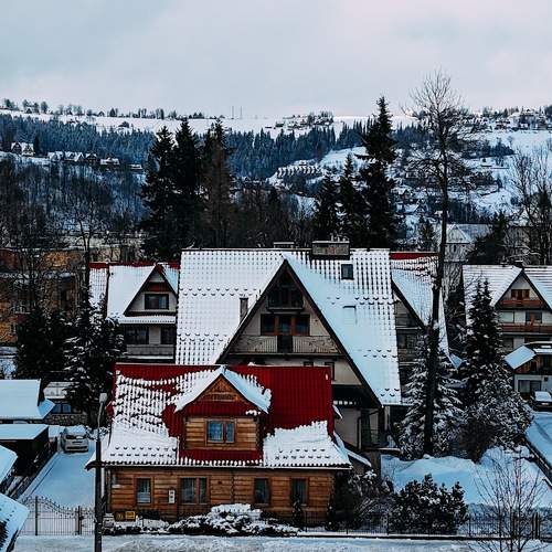 Photo #10295285