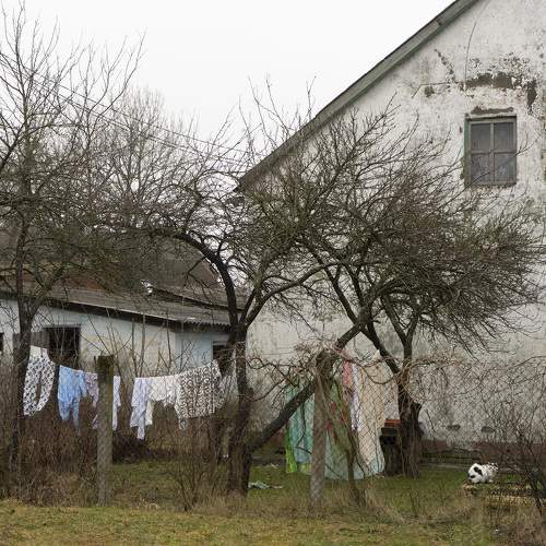 Photo #10295409