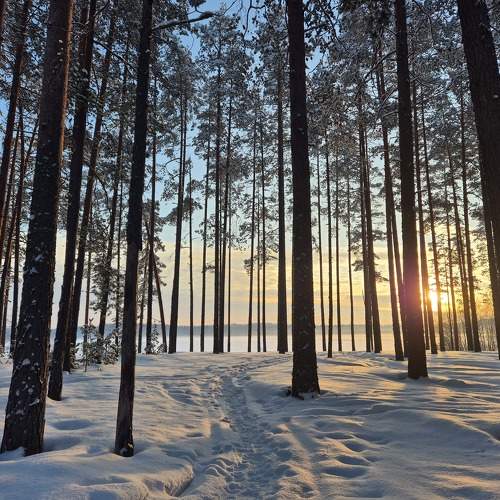 Photo #10295452