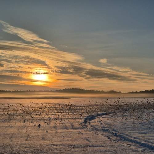 Photo #10295454