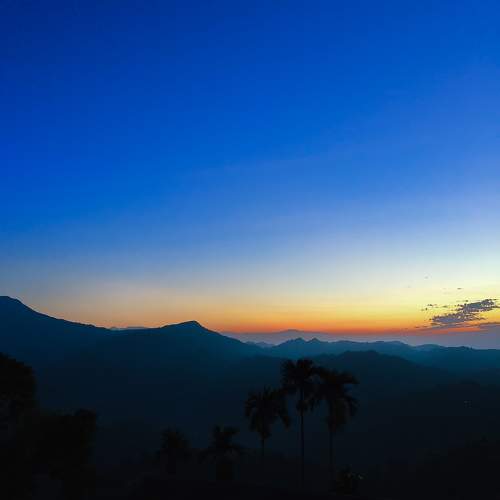 Photo #10295568