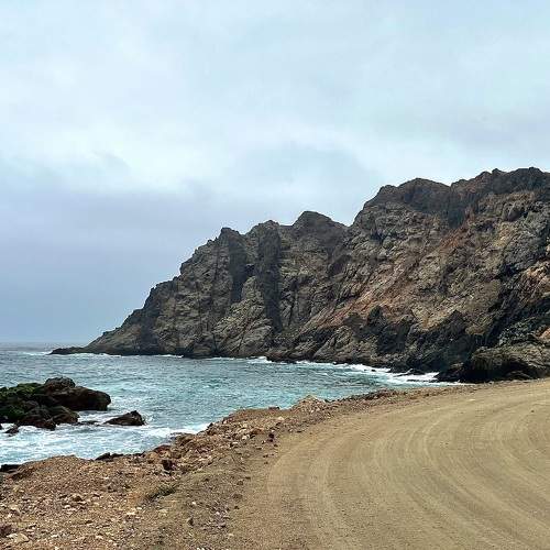 Photo #10295634